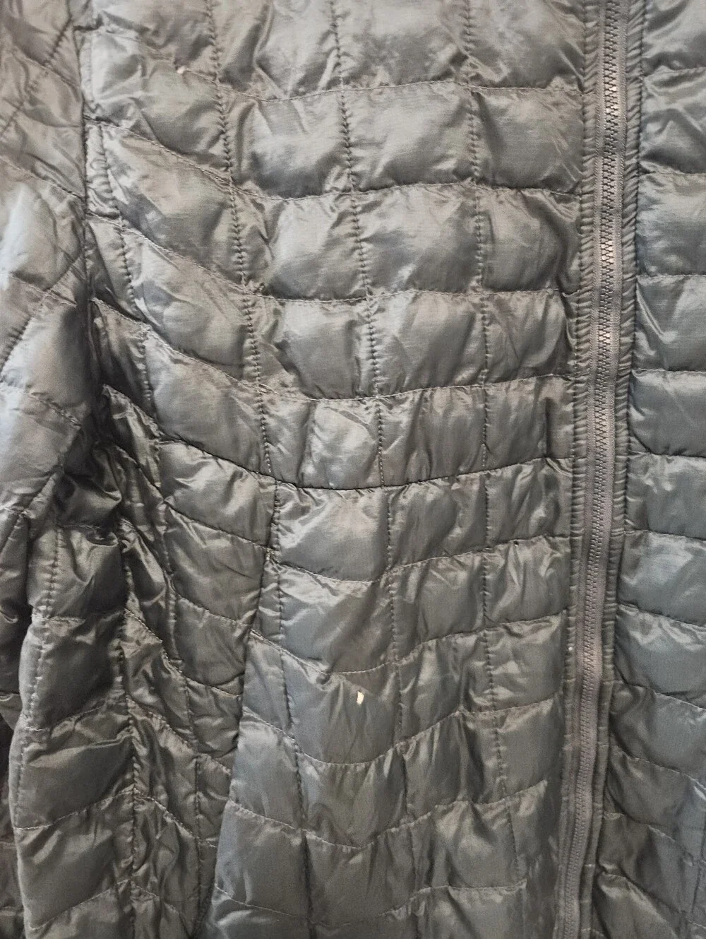 The North Face north face